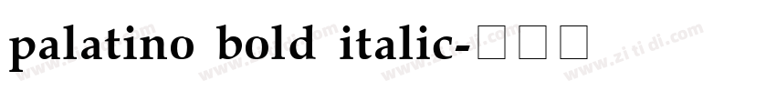 palatino bold italic字体转换